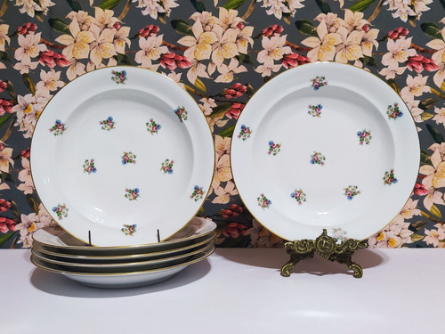 Juego De 6 Platos Hondos De Porcelana Limoges C