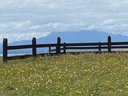 Alto Maullin, La Mejor Vista A Precios Accesibles
