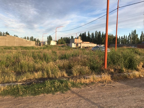 Lote En Venta En Cipolletti Loteo Los Platanos