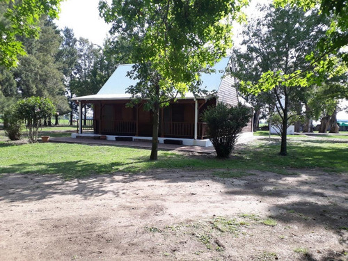 Imagen 12 de 21 de Campo - San Pedro 290 Has Provincia Buenos Aires