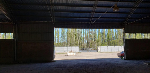 Imagen 11 de 30 de Alquilo Predio 6500 M2 Galpón 1900 M2 300 M2 Oficin Neuquen