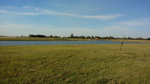 Imagen 19 de 25 de Venta De Terreno En La Faustina Brandsen A050