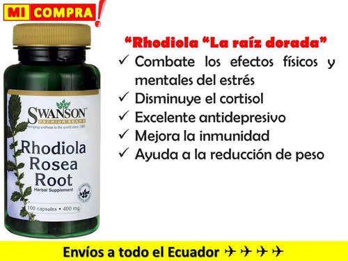 Rhodiola Antidepresivo Anti Estrés Raíz Dorada