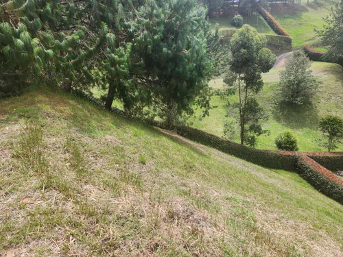 Lote En Venta En San Felix Antioquia