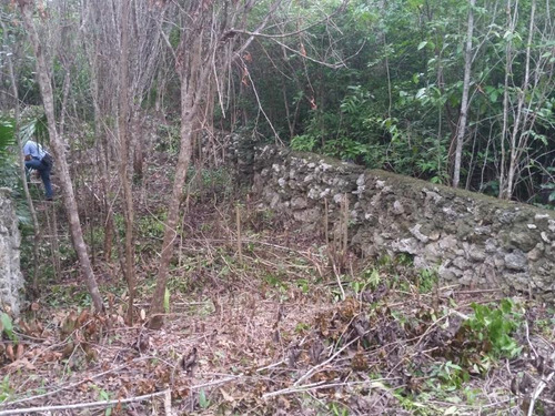 Imagen 11 de 12 de Terreno En Venta Cuna Maya Smza. 205