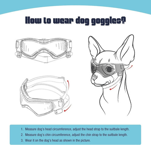 Casco De Moto Con Gafas For Perros Pequeños Y Medianos