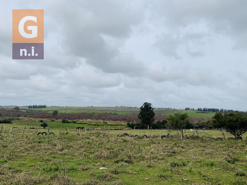 Chacra En Venta Ruta 9 Pan De Azúcar