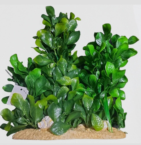 Adorno Planta Artificial 30 Cm/para Pecera/terrario.sc 79