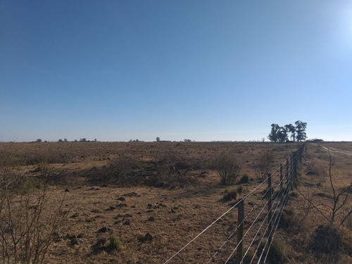 Imagen 9 de 13 de Vendo 90 Hectareas Ganaderas En Ucles, Cba