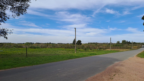 Vendo Campo 200 Mts De Frente Ruta 1
