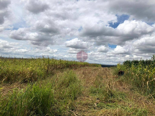 Imagem 2 de 4 de Sítio À Venda, 72600 M² Por R$ 900.000,00 - Gleba Ribeirão Alegre - Marialva/pr - Si0002