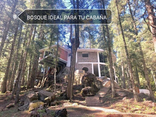 Imagen 2 de 11 de Terreno En Venta Espectacular Bosque Para Su Cabaña!