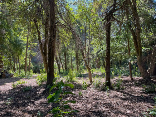 Venta Lote Villa La Angostura