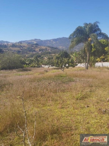 Imagem 8 de 15 de Terreno À Venda, 3000 M² - Centro - Itapeva/mg - Ai17864
