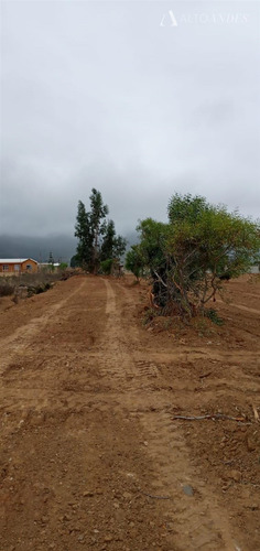 Sitio En Venta En La Ligua Sector Ferreteria Higuerillas
