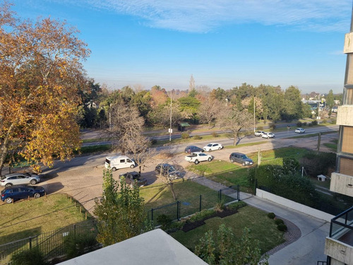 Imagen 2 de 20 de Apartamento -pent House, Av Italia Y Santa Monica , 1 Dormitorio Con Gge , 44 M2 95 M2 Terrazas !!