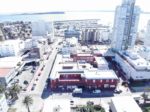 Alquiler Temporal De Verano 1 Dormitorio En Suite Península De Punta Del Este