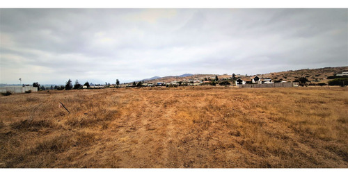 Sitio Plano, Agrícola, De 5.000 M2., En Tabolango, Limache.