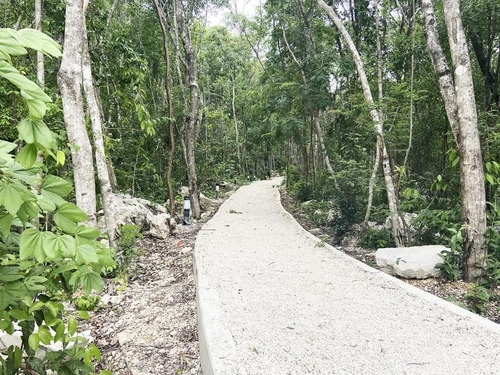 Departamentos En Venta En Ciudad Mayakoba En La Riviera Maya, Viva Con Calidad !