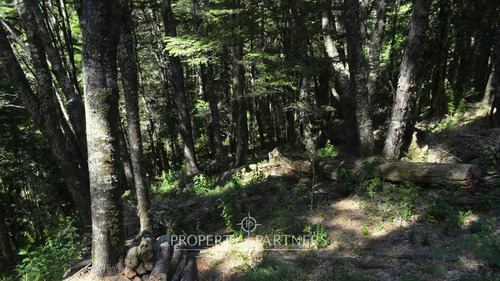 Lindo Terreno En Reserva Biológica Huilo Huilo