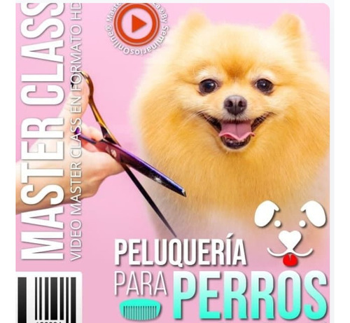 Curso De Peluquería Para Perros 