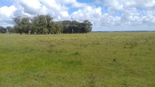 Campo En Venta En Rocha 20ha (ref: Atm-5568)