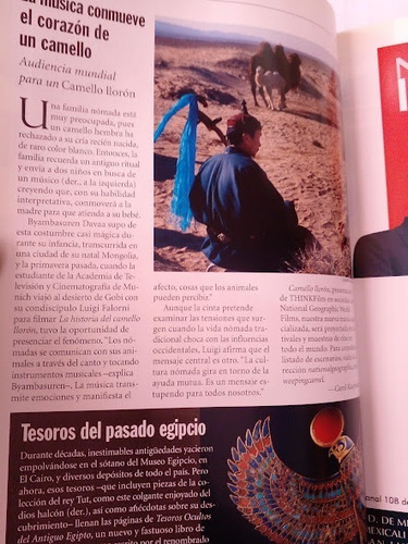 Revista National Geographic No 6 Junio De 2004 (Usado)