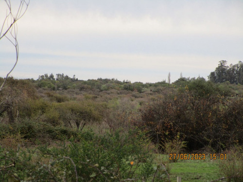 Propiedad Agrícola De Riego Con Derechos De Aguas Río Ñuble
