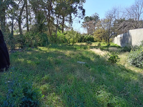 Terreno Se Vende En Parque Del Plata