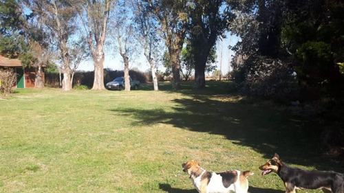 Imagen 5 de 30 de Venta - Campo En Cardales - Bayugar Negocios Inmobiliarios