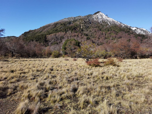 Terreno 5.000 M2, Sector Caracoles, Malalcahuello
