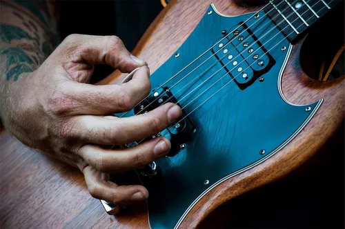 Dandrea Snarling Dog Brain PĂșas De Guitarra De Nailon, Paque