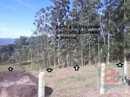 Imagem 3 de 12 de Terreno Rural 10 Hectares Entre Grão Pará E Braço Do Norte