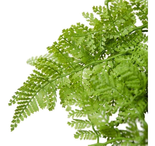 Galho Pendente De Samambaia Planta Artificial Em Silicone