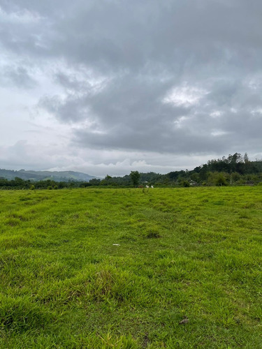 Imagem 13 de 14 de S12- Em Jacareí,lotes 1000m Plaino A Venda
