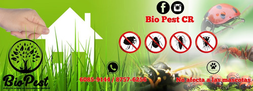 Imagen 4 de 12 de Control De Plagas Con Responsabilidad Ambiental.