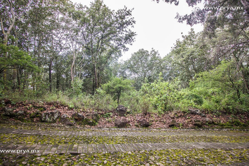Terreno En Venta Reserva De Los Encinos, Teuchitlán