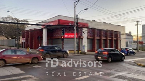 Local Comercial 1.050 M2 -osorno