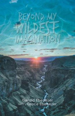 Libro Beyond My Wildest Imagination - Gerald Ebenezer