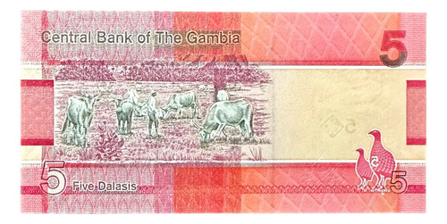 Gambia - 5 Dalasis - Año 2019 - P #n D - Africa