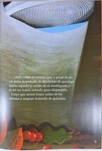 Cuentos En Zapatilla Liza Porcelli Libro Infantil Tapa Dura