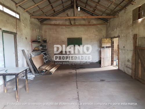 Imagen 11 de 11 de Oportunidad - Chacra Completa - Campo Minas