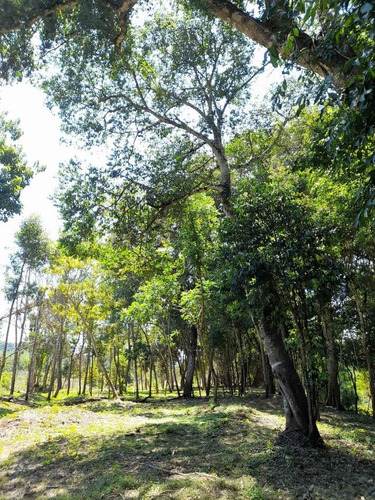 Imagen 21 de 25 de Loteo La Martina, Sobre Arroyo Acaraguá, Misiones