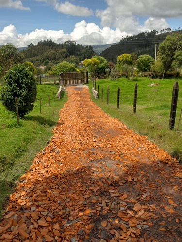 Venta De Casa Campestre Finca En El Alto Canicas Inmejorable Valor 