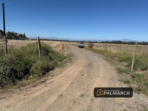 Parcelas En Venta 5000m2 Camino A Cato Chillán