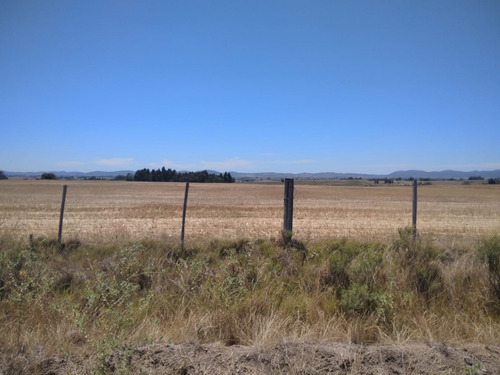 Imagen 2 de 6 de Venta Campo Agricola 48ha Solis De Mataojo Buen Acceso