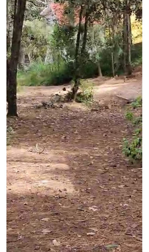 Amplio Terreno Para Cabañas En Los Alcanfores Sclc