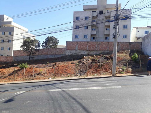 Cabral 6 Lotes De 200m² Cada Totalizando 1200m² - 3787