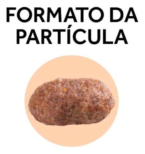Gran Plus Gourmet Ração Para Cães Mini Ovelha/arroz 15kg