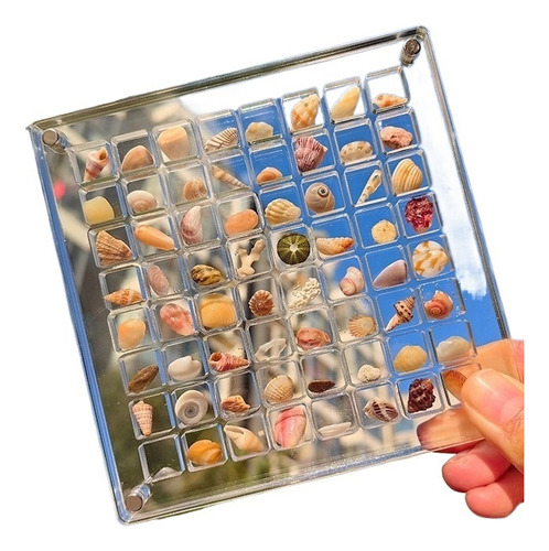 Caja De Exhibición Magnética De Acrílico De Conchas Marinas